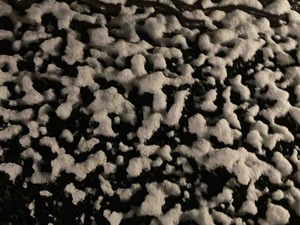 IMG_1377