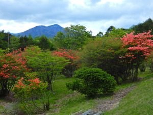 DSCN9959