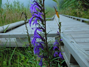 DSCN0253