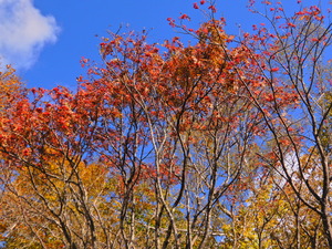 DSCN0160