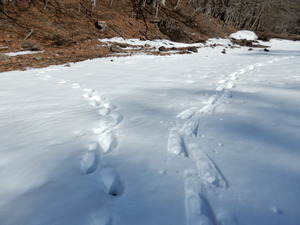 DSCN8714