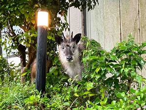 IMG_6671