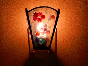 DSCN8419