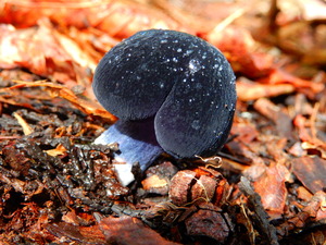 DSCN0269