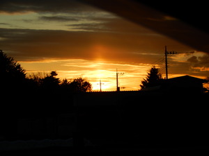 DSCN9695