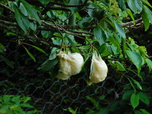 DSCN9816