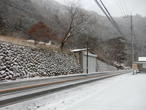 DSCN9303