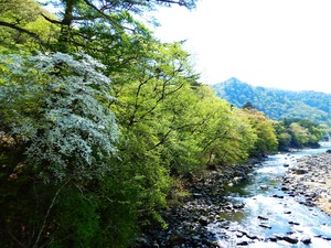 DSCN8307