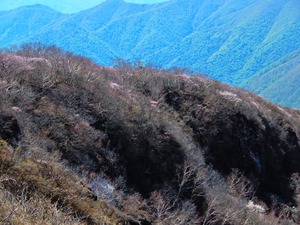 DSCN0242