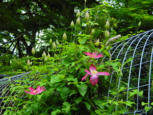DSCN9878
