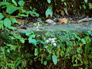 DSCN1872