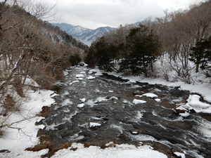 DSCN9918