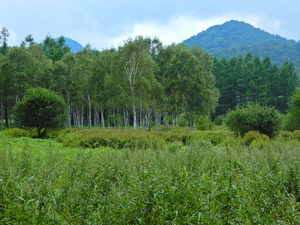 DSCN9636