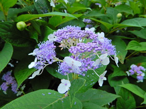 DSCN0304