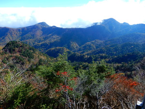 DSCN0005