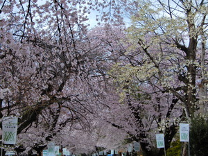 DSCN9745