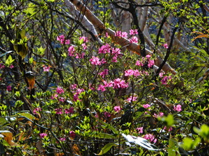 DSCN0352