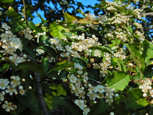DSCN0238