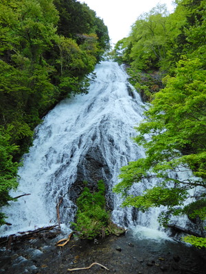 DSCN9892