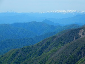 DSCN9914