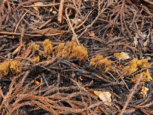 DSCN0792
