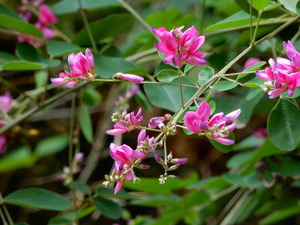 DSCN0561