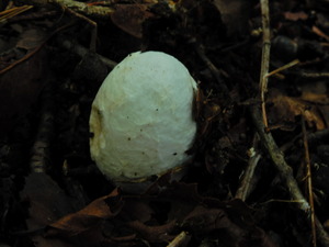 DSCN0903