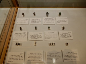 DSCN0620