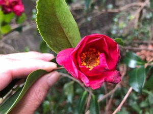 IMG_8082