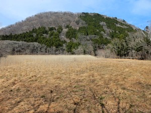 DSCN9818