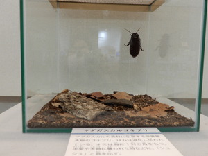 DSCN0576