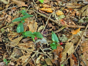 DSCN9835