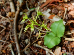 DSCN0727
