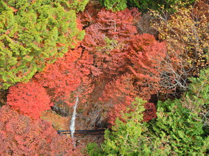 DSCN9581