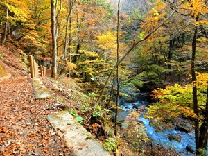 DSCN1480