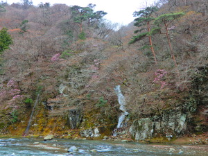 DSCN9872