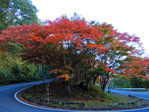 DSCN1653