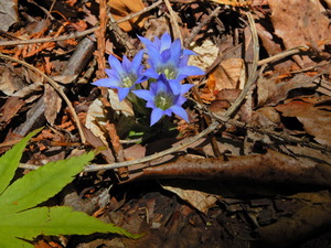 DSCN0264