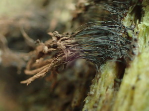P7223899