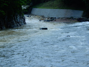 DSCN0459