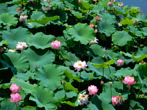 DSCN0898