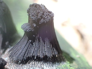 P8224070