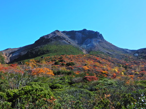 DSCN9655