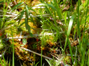 DSCN0791