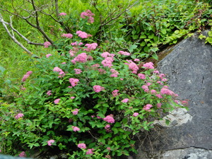 DSCN0127