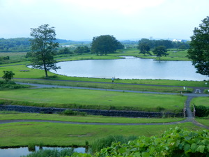 DSCN1041
