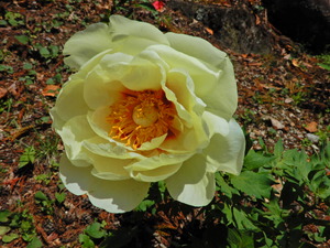 DSCN9314