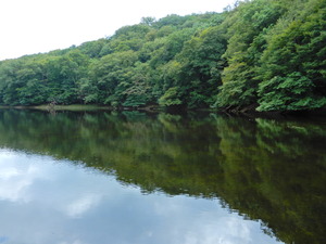 DSCN1023