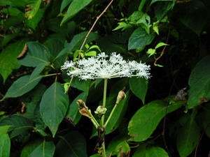 DSCN9280