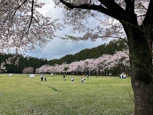 IMG_2155